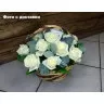 Шерше Ля Фам